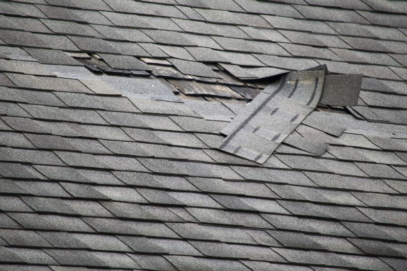 Asphalt Roof Damage Repair