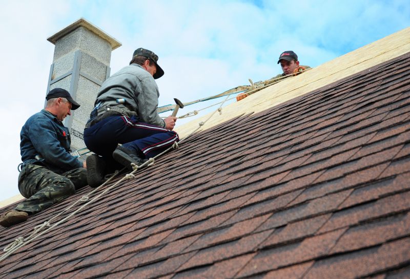 Roofing Service in Action